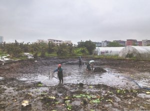玉田河道鱼塘清淤